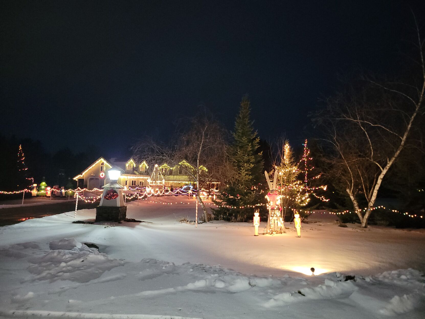 2022 CHRSITMAS LIGHT 3.jpg